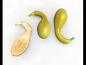 crookneck squash 3D Model