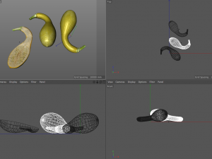 crookneck squash Modelo 3D