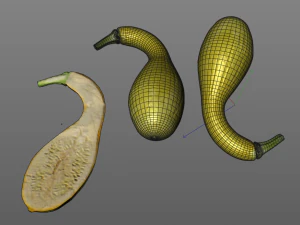 crookneck squash 3D Model