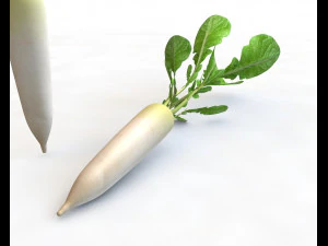 rabanete daikon Modelo 3D
