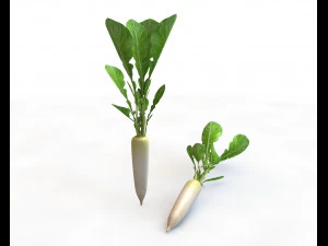 rabanete daikon Modelo 3D
