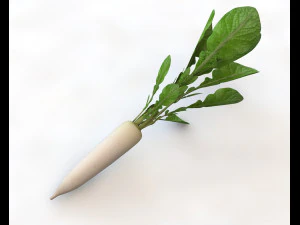 rabanete daikon Modelo 3D
