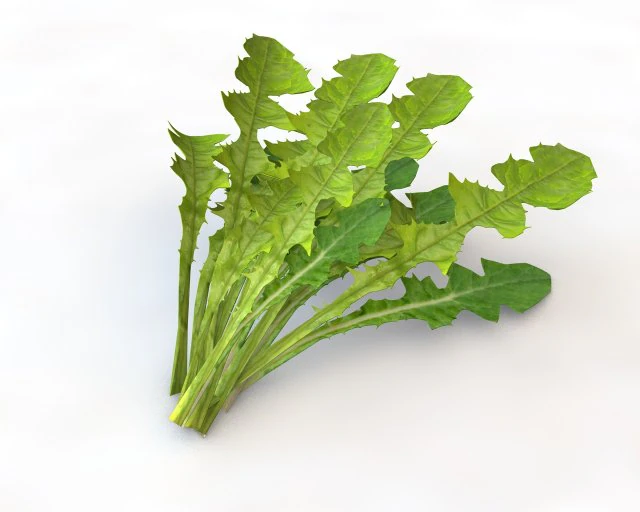 folhas de dente de le&atilde;o Modelo 3D .c4d .max .obj .3ds .fbx .stl .blend 