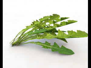 folhas de dente de le&atilde;o Modelo 3D