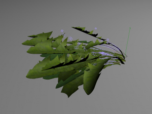 dandelion greens 3D-Modell
