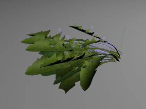 folhas de dente de le&atilde;o Modelo 3D