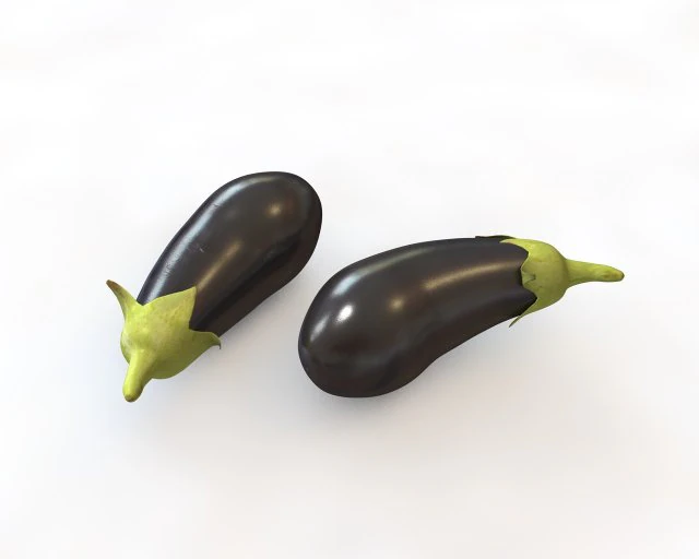 eggplant brinjal 3D Model .c4d .max .obj .3ds .fbx .stl .blend 