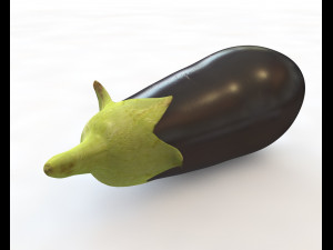 eggplant brinjal 3Dモデル