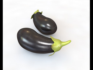 eggplant brinjal 3Dモデル