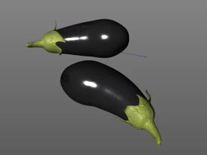 eggplant brinjal 3D Model