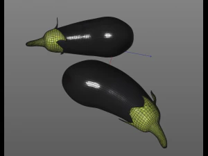 eggplant brinjal 3D Model