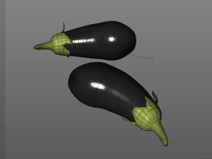 eggplant brinjal 3D Model