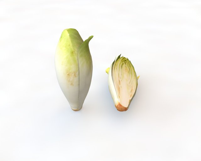 endive 3D Modell .c4d .max .obj .3ds .fbx .stl .blend