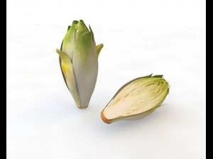 endive 3D Model