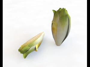 endive 3D Model