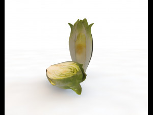 endive 3D Modell