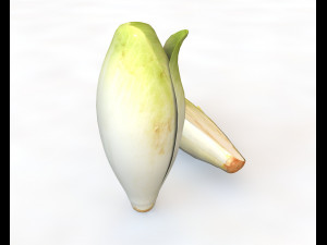 endive 3D Modell