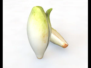 endive 3D Model