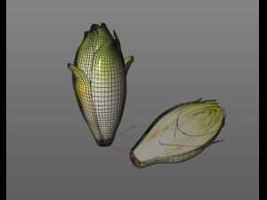 endive 3D Model