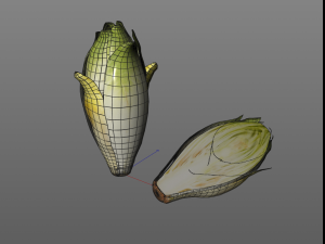 endive 3D Modell