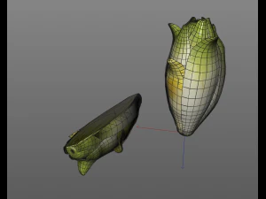 endive 3D Model