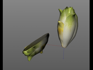 endive 3D Modell