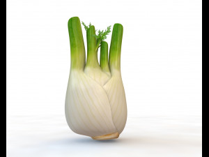 fennel 3D 模型