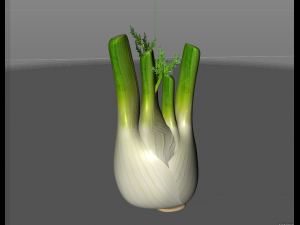 fennel 3D 模型