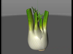 fennel 3D Model