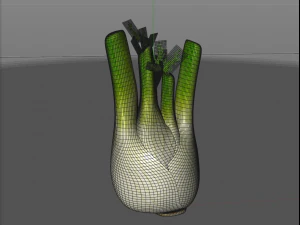 fennel 3D Model