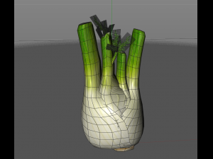fennel 3D 模型