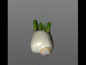 fennel 3D 模型