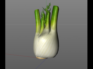 fennel 3D 模型