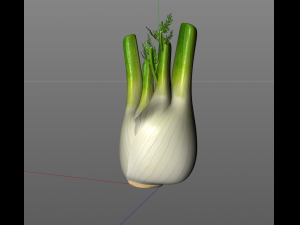 fennel 3D 模型
