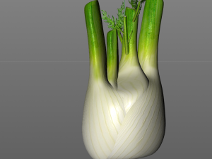 fennel 3D 模型