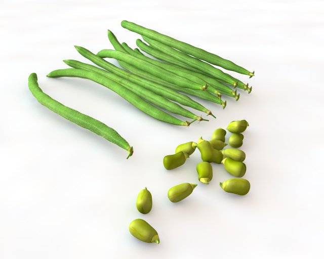 french beans 3D Модель .c4d .max .obj .3ds .fbx .stl .blend