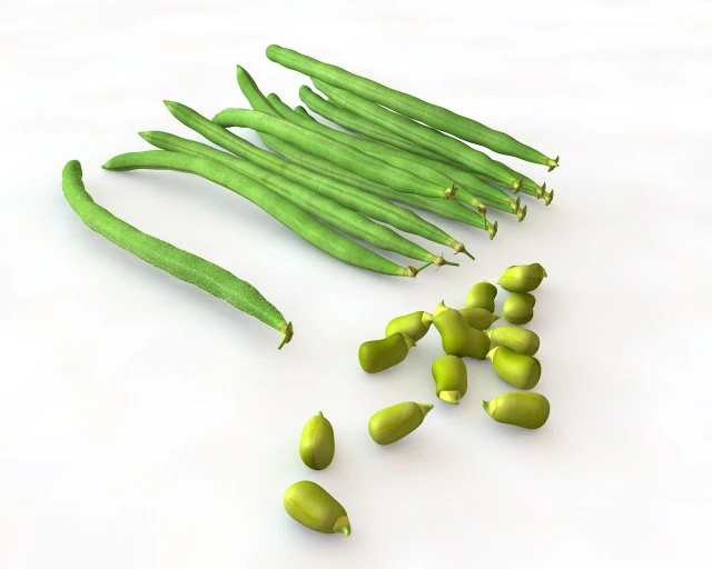 french beans 3D Model .c4d .max .obj .3ds .fbx .stl .blend 