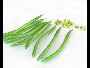 french beans 3D Model