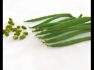 french beans 3D Модель