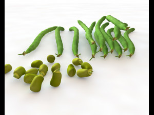 french beans 3D Модель
