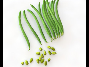 french beans 3D Модель