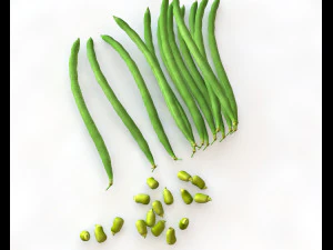 french beans 3D Model