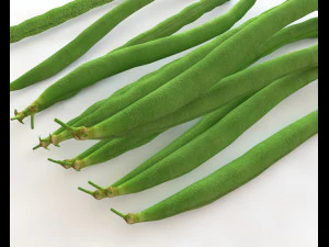 french beans 3D Model
