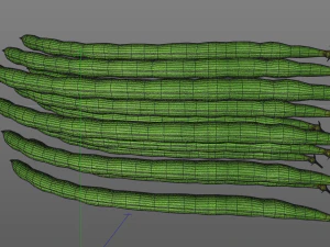 french beans 3D Model