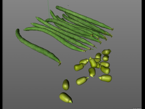 french beans 3D Модель