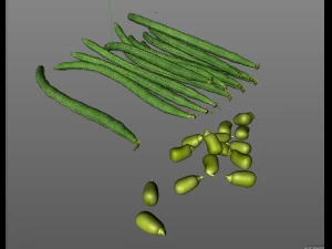french beans 3D Model