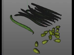french beans 3D Model