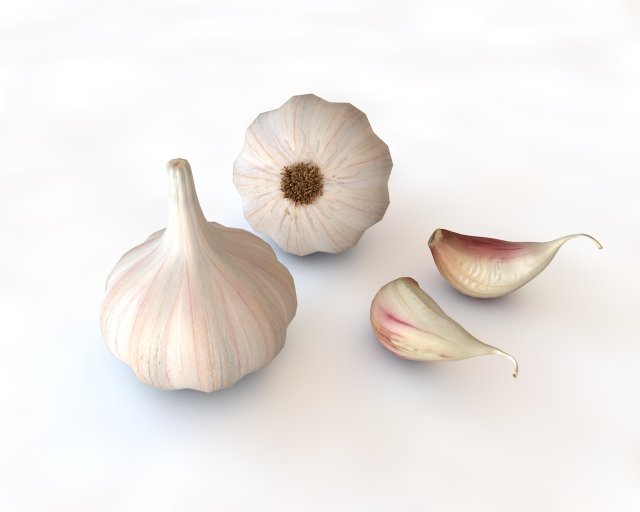 garlic clove 3Dモデル .c4d .max .obj .3ds .fbx .stl .blend 