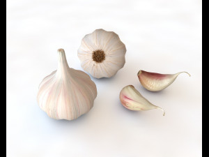 garlic clove 3D Model