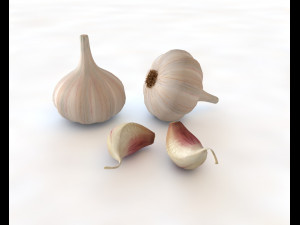garlic clove 3Dモデル